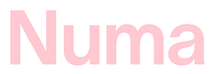 Numa logo