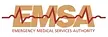 EMSA logo