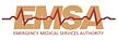 EMSA logo