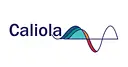 Caliola Engineering logo