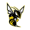 Fulton Public Schools logo