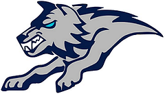Ranchview High School Carrollton logo