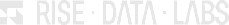 Rise Data Labs logo