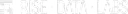 Rise Data Labs logo