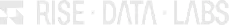 Rise Data Labs logo
