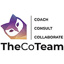 TheCoTeam logo