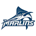 Virginia Wesleyan University logo