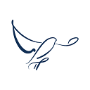 The Software Practice logo