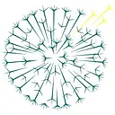 Dandelion Health Inc logo