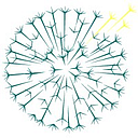 Dandelion Health Inc logo