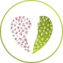 Lev Haolam logo