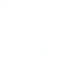 Best American Hospitality logo