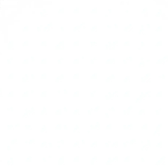 Best American Hospitality logo