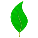 New U Therapy Center & Family Services, Inc. logo