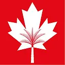 Canadian University Dubai logo