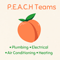 P.E.A.C.H. Teams logo