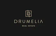 Drumelia Real State logo