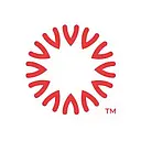 Boundless Networks, Inc. logo