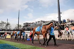Melbourne Racing Club logo