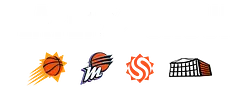 Player 15 Group logo