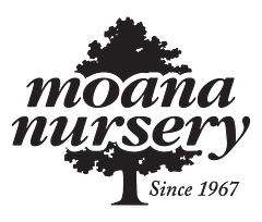 Moana Nursery logo
