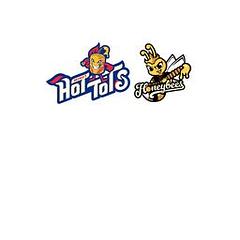 Minot Hot Tots / Honeybees logo