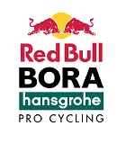 Red Bull logo