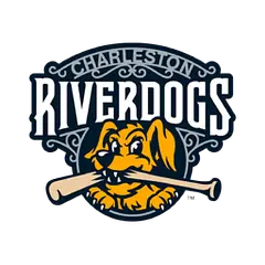 Charleston Riverdogs logo