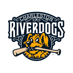 Charleston Riverdogs logo