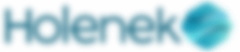 Holenek Ingénierie logo
