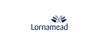 Lornamead GmbH logo