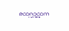 Econocom Products & Solutions GmbH logo