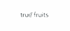 true fruits GmbH logo