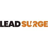 Lead Surge logo