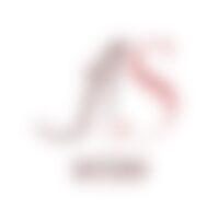 Bearn Service Emploi / AS INTERIM logo