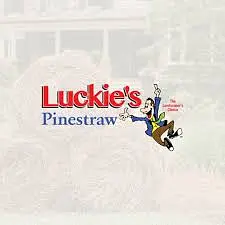 Luckie's PineStraw logo