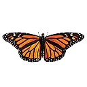 Monarch logo