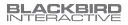 Blackbird Interactive logo