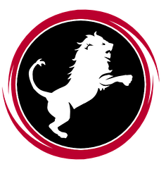 Nemean Solutions logo