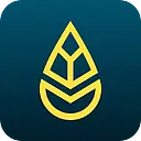 YOYABA logo