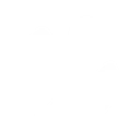 Neuraleap Technologies Group logo