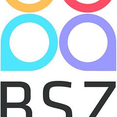 BSZ Stiftung logo