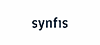 synfis Service GmbH logo