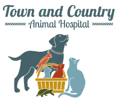 Town and Country Animal Hospital logo