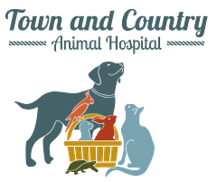 Town and Country Animal Hospital logo