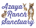 Azaya Ranch logo