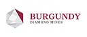 Burgundy Diamond logo