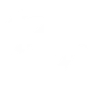 Revenue Cycle Coding Strategies logo