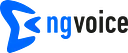 ng-voice logo