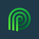 Palmetto Clean Technology logo